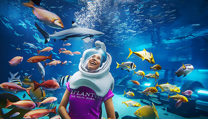 Shark Lagoon