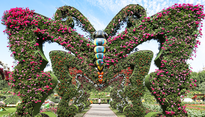 Dubai Butterfly Garden