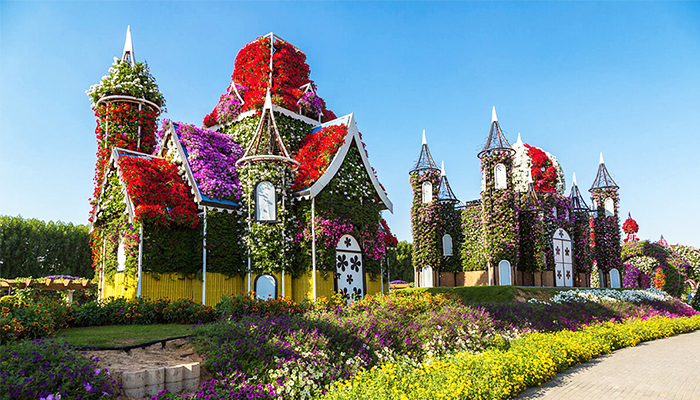 Explore the Flower Parade