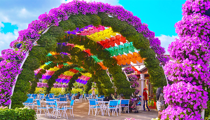 Visit Umbrella Tunnel