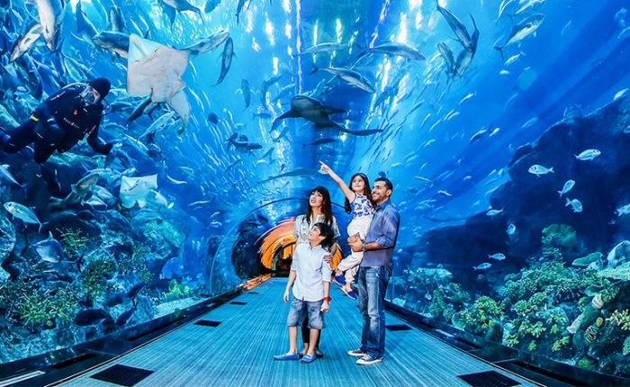 Dubai Aquarium